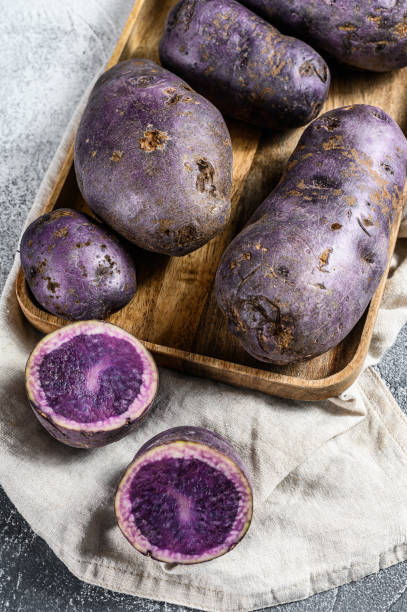 istock vitelotte raw potato on a chopping Board. Gray background. Top view 1208442807