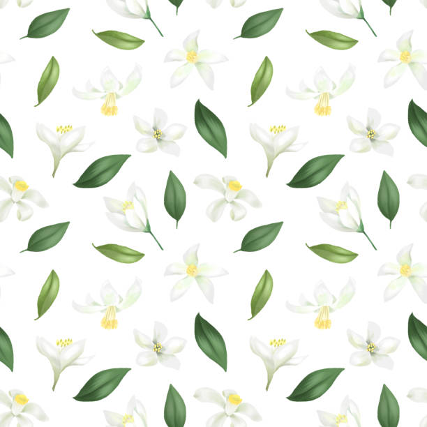istock Seamless pattern with hand drawn green leaves and lemon (lime) flowers on a white background 1208448112
