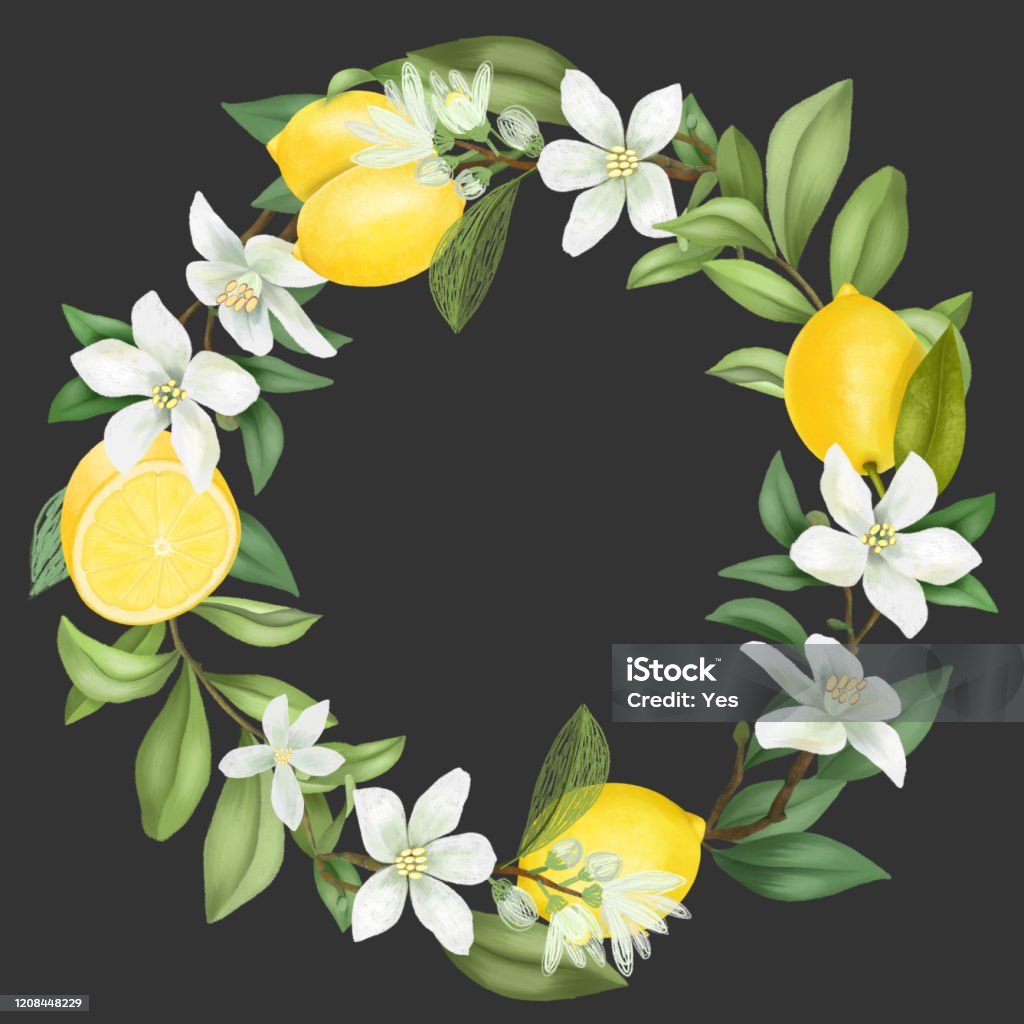 Couronne Ronde De Branche De Citron . Cadre En Feuilles De Citrons Berrie Fleurs Agrumes Feuille Image269316576 Couronne Ronde De Branche De Citron . Cadre En Feuilles De Citrons Berrie Fleurs Agrumes Feuille Image269316576
