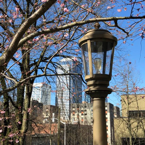 Lamppost with buildings in the background