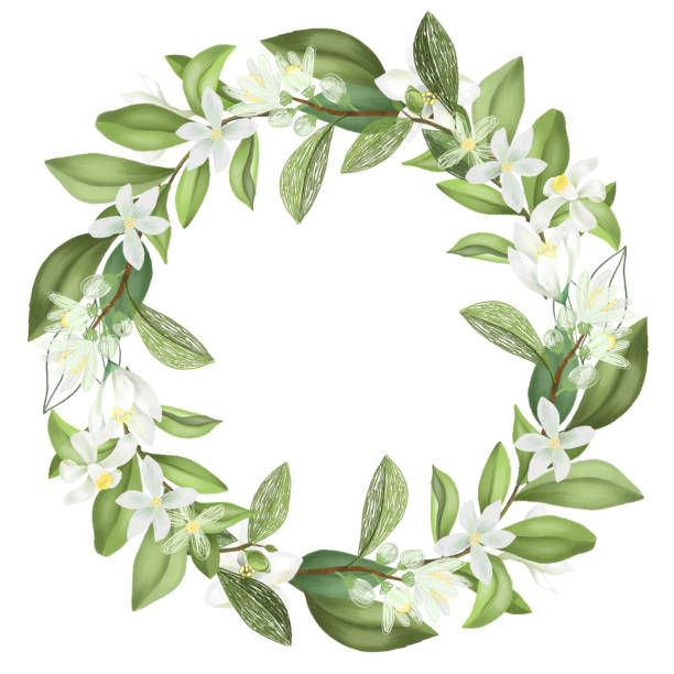 istock Wreath of hand drawn blooming lemon tree branches, isolated illustration on a white background 1208450152