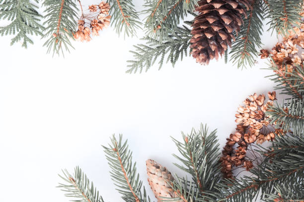 istock Christmas winter composition. Fir branches and cones on white background. Top view, flat lay 1208454215