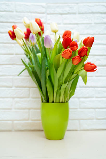 istock Fresh beautiful tulips in beautiful green pot, on white wall 1208454262