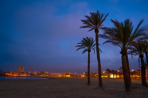 Javea Xabia sunset sky with tropical palm trees in Alicante of Spain