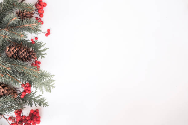 istock Christmas winter composition. Rowan, fir branches and cones on white background. Top view, flat lay 1208456904