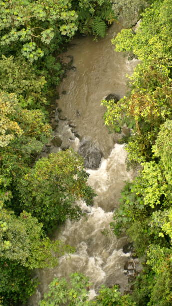 istock River at the bottom of a gorge 1208458287