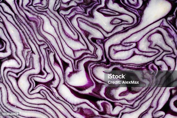 Red Cabbage Slice Texture Stock Photo - Download Image Now - Abstract, Backgrounds, Blue