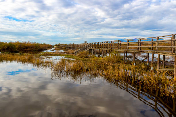 istock Lake Vistonida beautiful landscape 1208462646