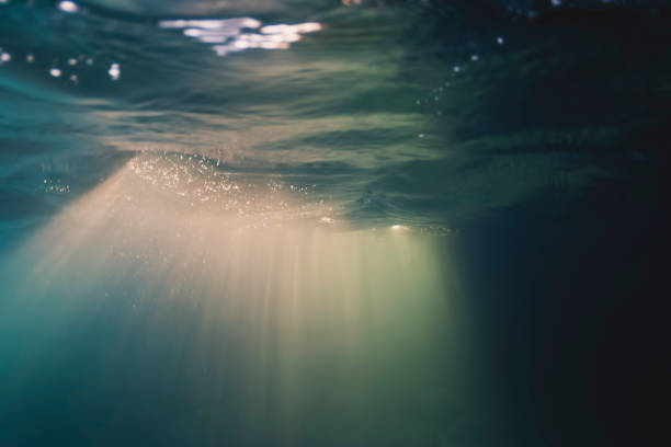 podwodna fala abstrakcyjna, światło słoneczne przez wodę, musujące odbicia i wiązki światła słonecznego. - selective focus blurred motion undersea underwater zdjęcia i obrazy z banku zdjęć