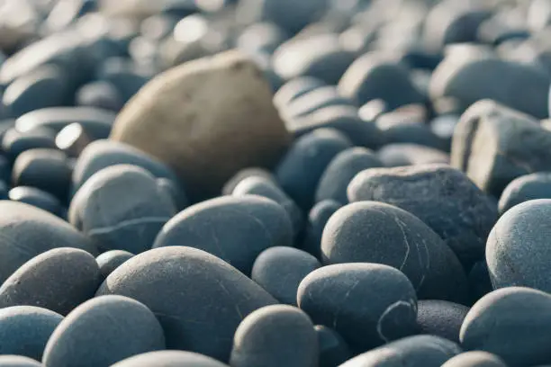 Photo of Smooth Round Pebble; Natura Background. Textures