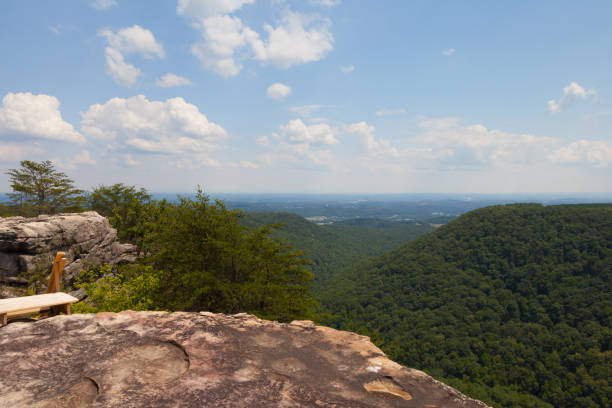 istock Laurel Snow Buzzard Point Overlook 1208471418