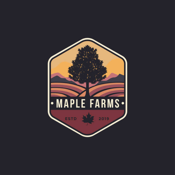 vintage emblem maple tree and farms logo vintage emblem maple tree and farms logo maple stock illustrations