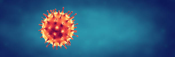 Coronavirus or Flu virus concept Coronavirus or Flu virus - Microbiology And Virology Concept hepatitis photos stock pictures, royalty-free photos & images