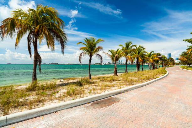 praia de key biscayne - rickenbacker causeway - fotografias e filmes do acervo