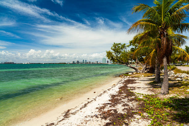 praia de key biscayne - rickenbacker causeway - fotografias e filmes do acervo