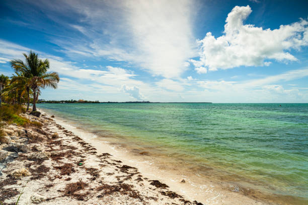 key biscayne beach - rickenbacker causeway imagens e fotografias de stock