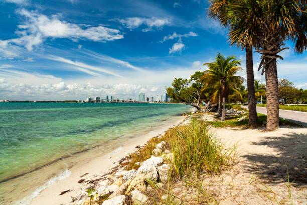 plaża key biscayne - rickenbacker causeway zdjęcia i obrazy z banku zdjęć