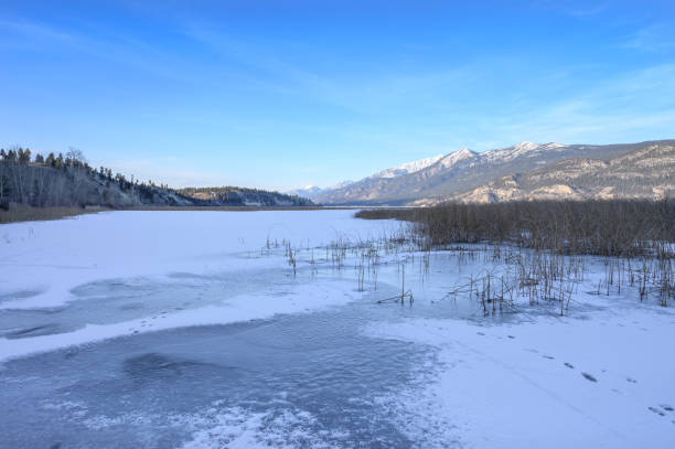 istock Columbia Lake in British Columbia, Canada 1208480337