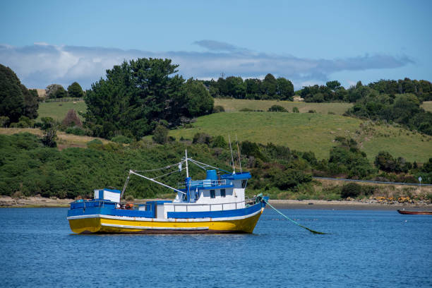 istock Typical fishing ship at Chiloe Island, Chile 1208486302