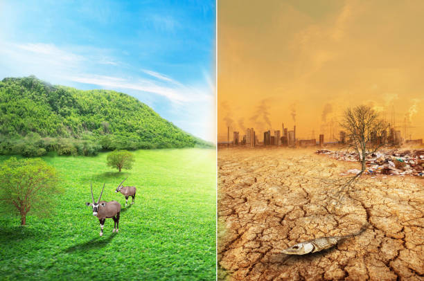istock 