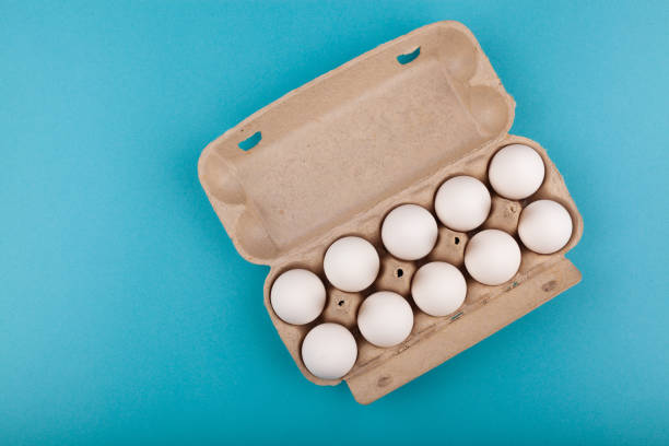 istock Egg Chicken eggs. Top view of an open gray box with white eggs. Isolated on a blue background. The concept of a healthy lifestyle, getting pure protein. Proper Breakfast 1208488743