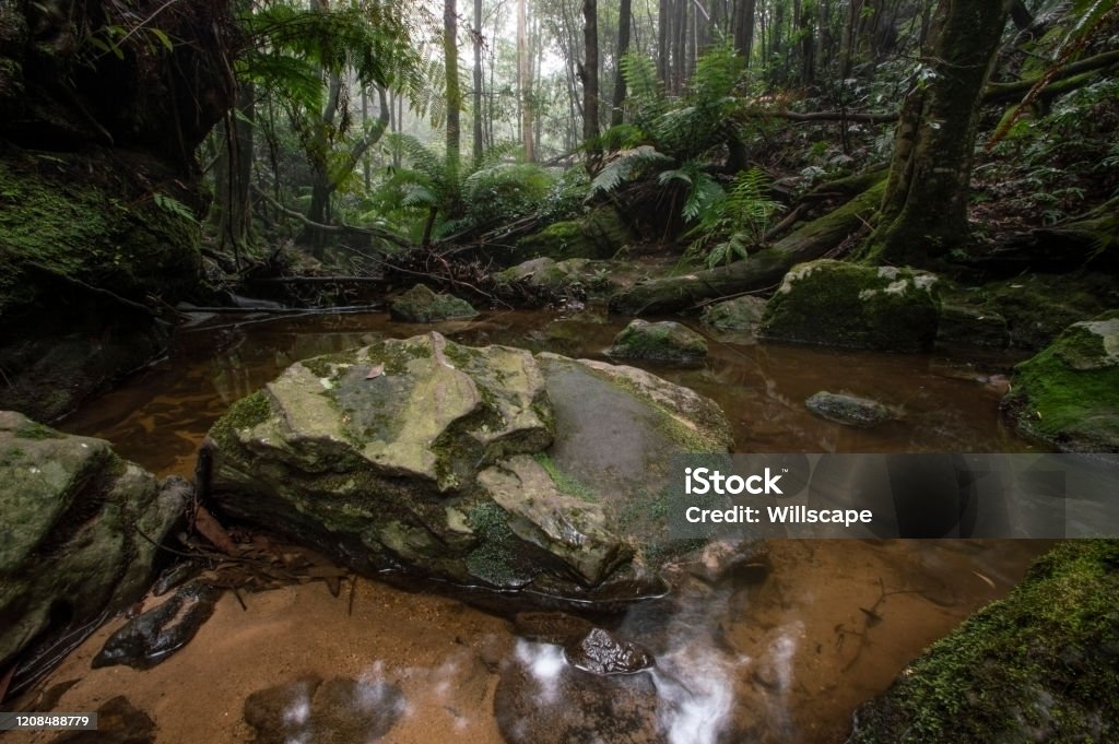 Pools of Siloam, Blue mountains, New south wales, Australia Australia Stock Photo