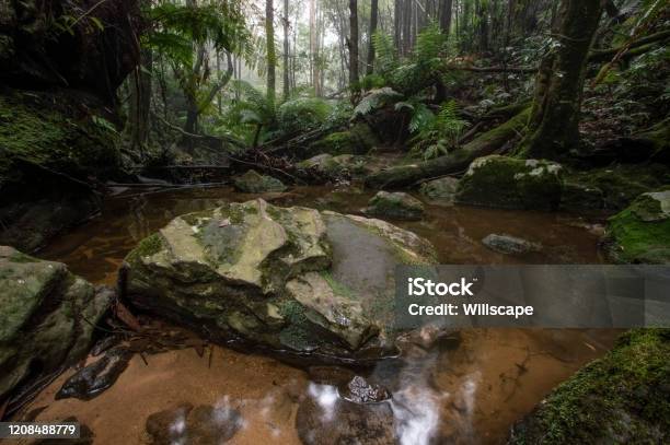 Pools Of Siloam Blue Mountains New South Wales Australia Stock Photo - Download Image Now