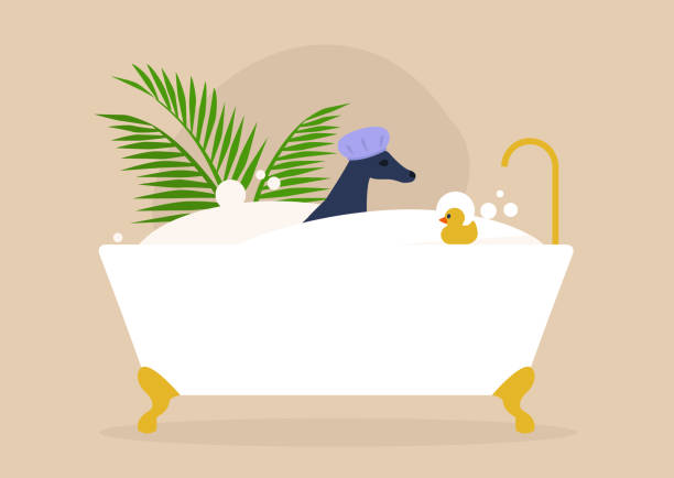 Cute pampered dog washing in a bathtub, hygiene and luxury treatment, pets Cute pampered dog washing in a bathtub, hygiene and luxury treatment, pets dog splashing stock illustrations