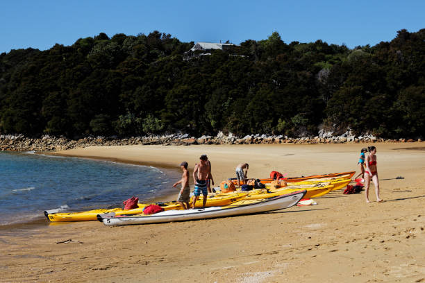 kajaki morskie na plaży w anchorage bay, park narodowy abel tasman, nowa zelandia - abel tasman national park zdjęcia i obrazy z banku zdjęć