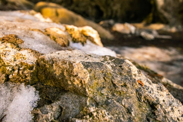 Closeup of rocks