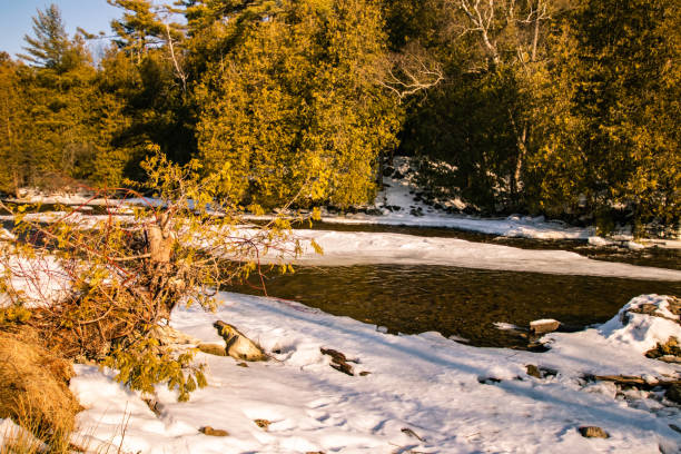 istock Flowing Frozen water 1208493756