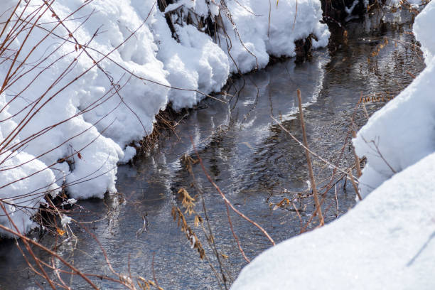istock Winter river and snow covered forest,japan landscape 1208494924