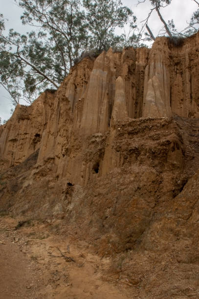 istock Golden gully, Hill end, New South wales, Australia 1208496513