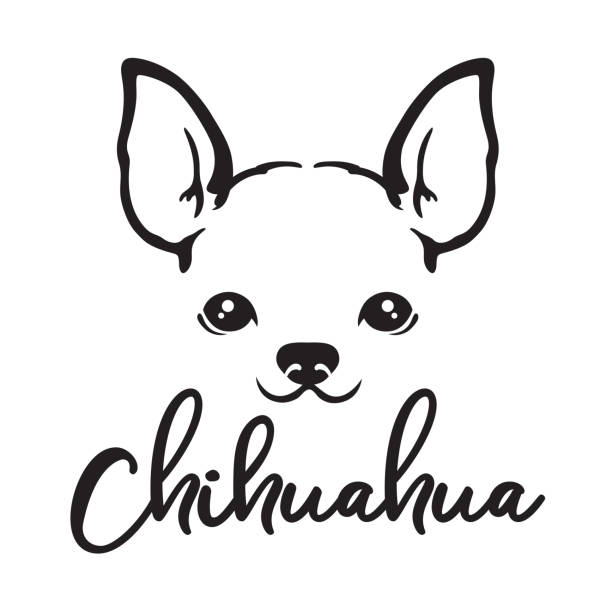 Chihuahua Dog Face Line Art vector art illustration