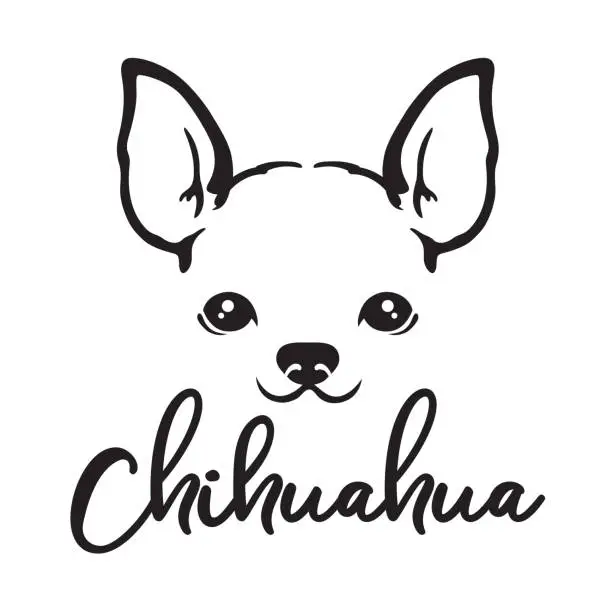 Vector illustration of Chihuahua Dog Face Line Art