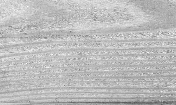 istock Wood white texture. Wood background texture 1208500600