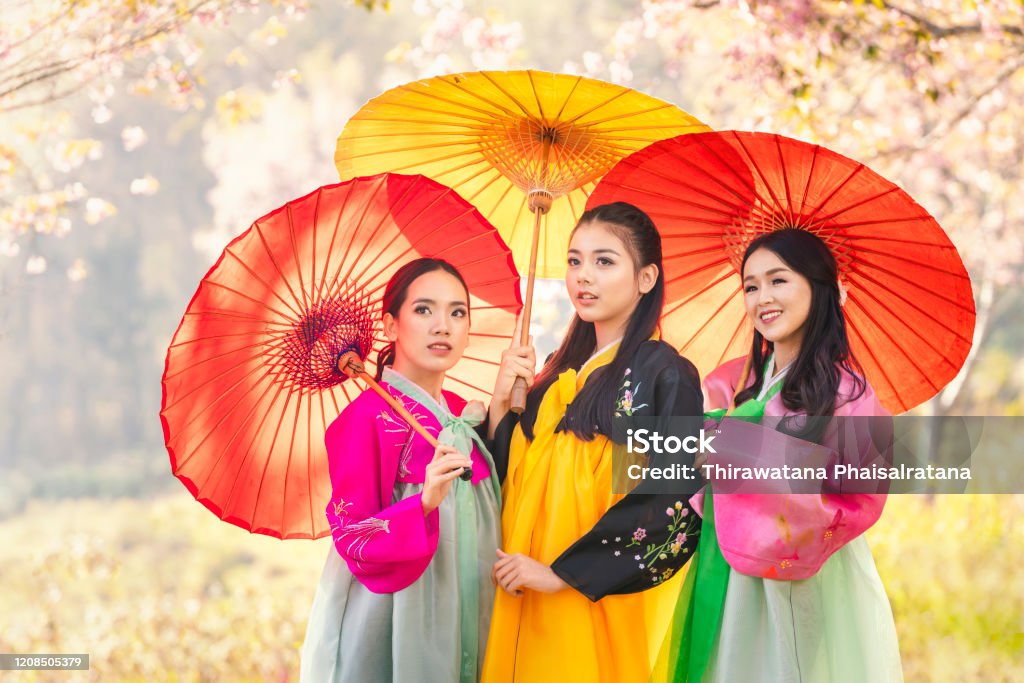 Three Korean girl wearing a hanbok wearing a yellow umbrella. Beautiful Female wearing traditional Korean hanbok with cherry blossom in spring, Korea. Asian woman tourists Hanbok Stock Photo