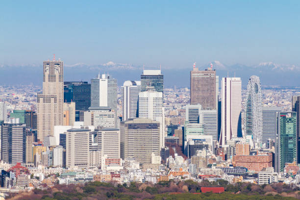 Shinjuku Skyline