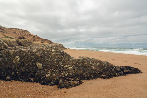 Wide sandy beach and rocky cliffs. Scenic seascape, California Coastline