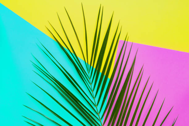 istock Abstract tropical background. Green palm leaf on yellow, blue anf purple backdrop. 1208511914