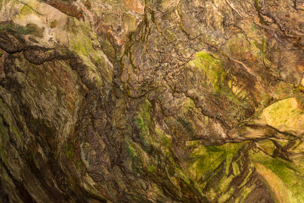 istock Slimy, wet rock formations in Davelis Cave in Penteli 1208512922