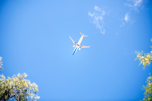 Aeroplane flying through bright blue summer skies with tree tops framing the image