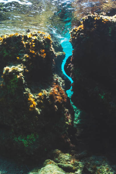 istock Mediterranean reef in Zakynthos Island. 1208515090