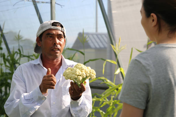 istock Greenhouse Farming 1208516643