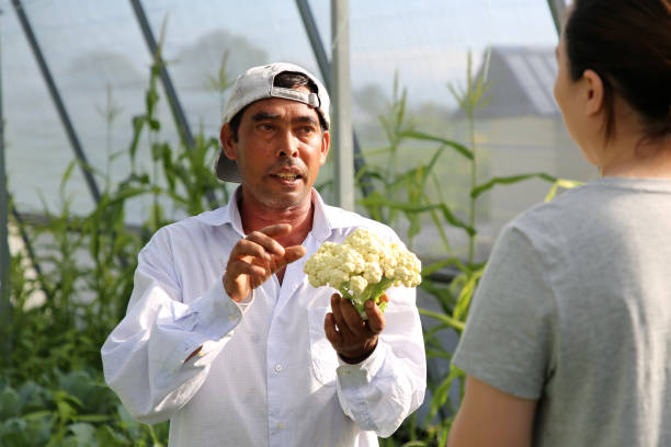 istock Greenhouse Farming 1208516646