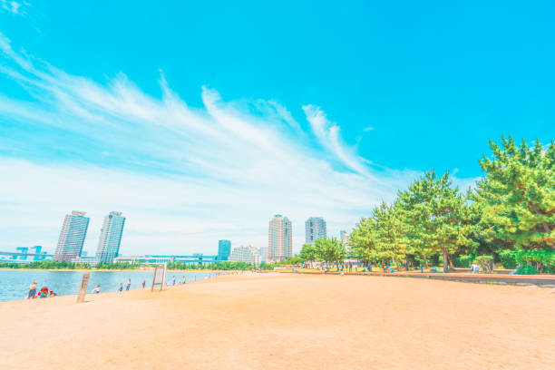 Odaiba Seaside Park view in Tokyo