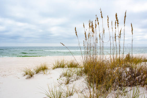 gulf islands national seashore - southern usa sand textured photography imagens e fotografias de stock