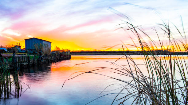 Louisiana Bayou Sunset