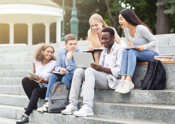 istock Group of international students studying together at park 1208525374
