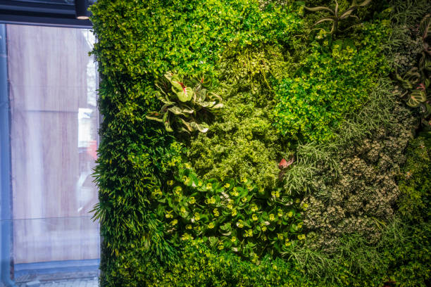 istock Natural green wall of different plants,cafe interior decoration 1208530191